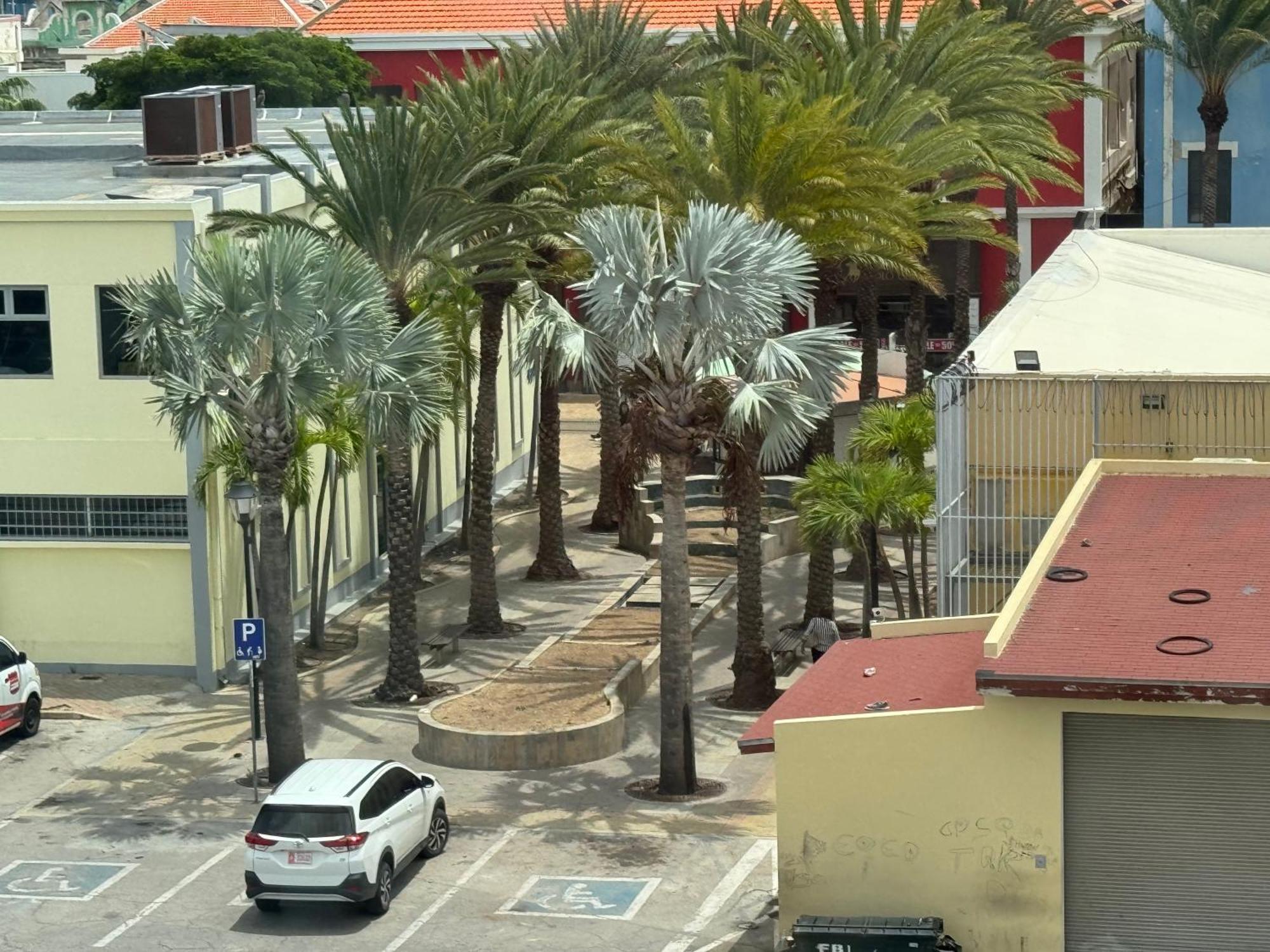 Central Boutique Hotel Oranjestad Dış mekan fotoğraf